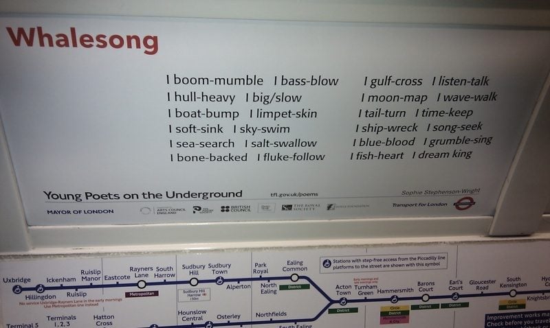 Whale Song poem by Sophie on London tube