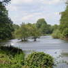 Osterley Park London Picture lake