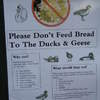 Osterley Park London dont feed bread to ducks