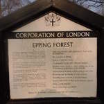 epping-forest-london-biking-birthday-fun10