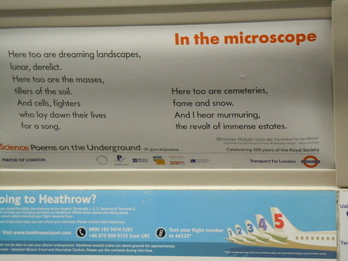 London Underground Poem - In the Microscope
