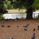 osterley-park-london-pic-13
