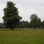osterley-park-london-pic-50